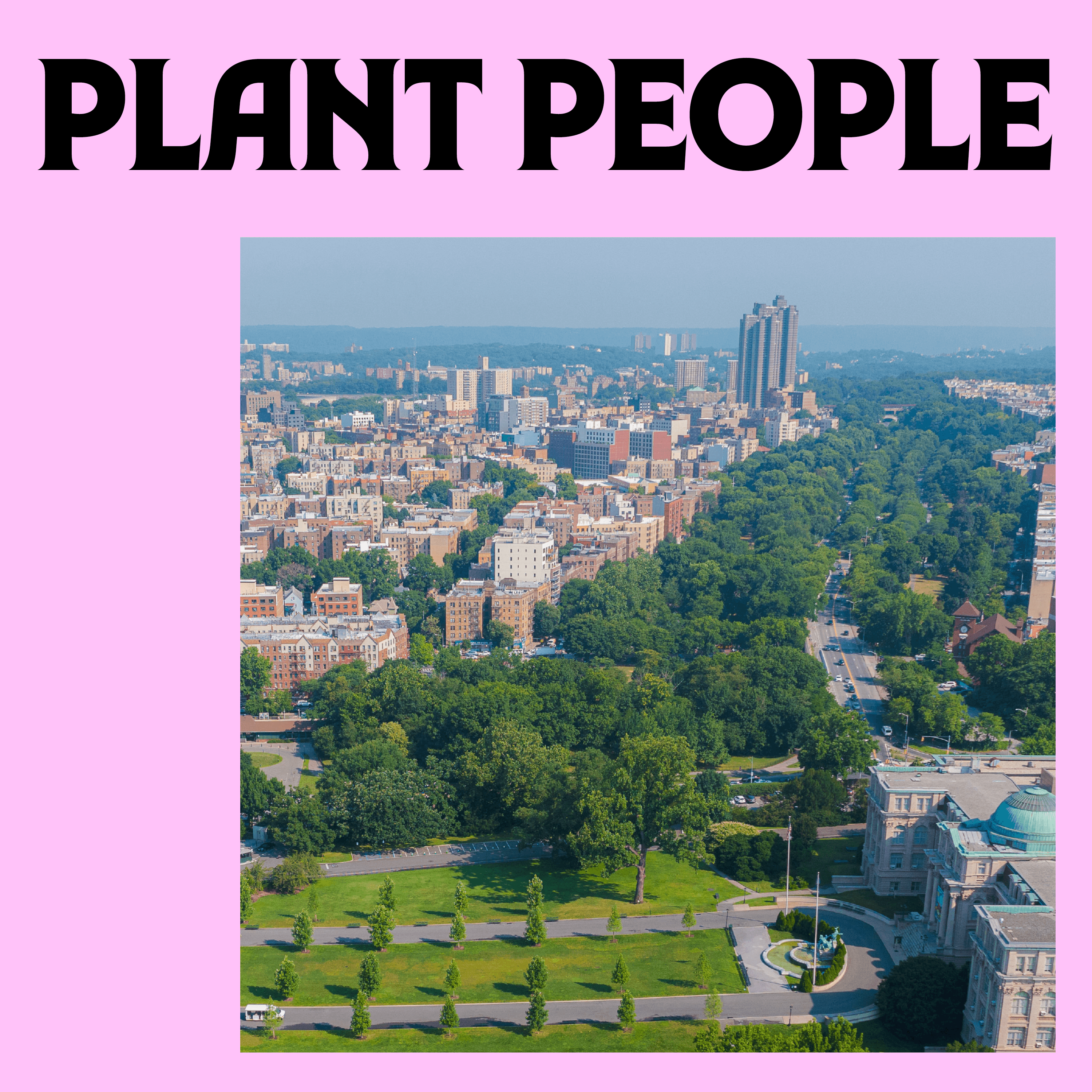 Thumbnail for "Paradise Bronx". Thumbnail for "Paradise Bronx".