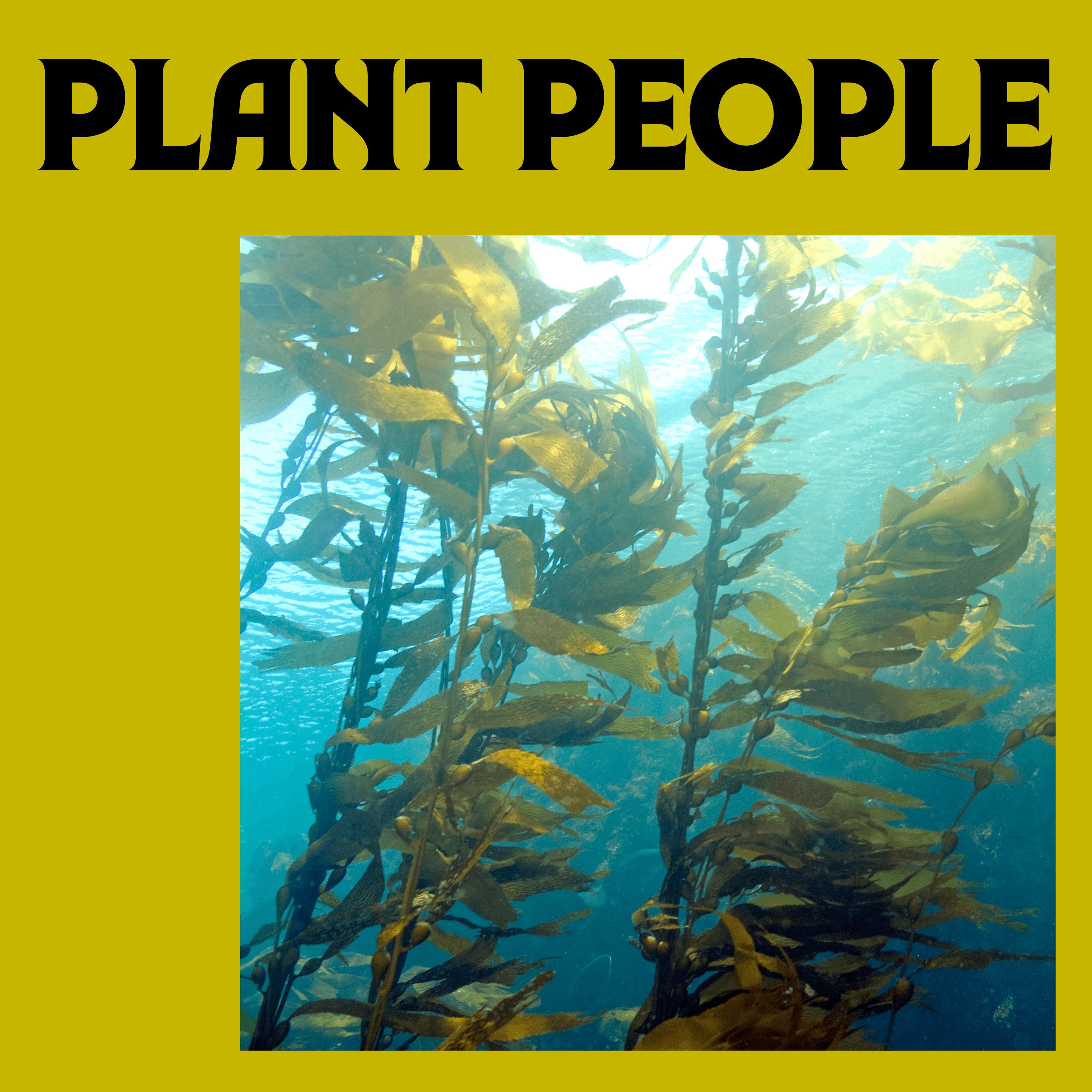 Thumbnail for "Kelp with Dr. April Ridlon". Thumbnail for "Kelp with Dr. April Ridlon".