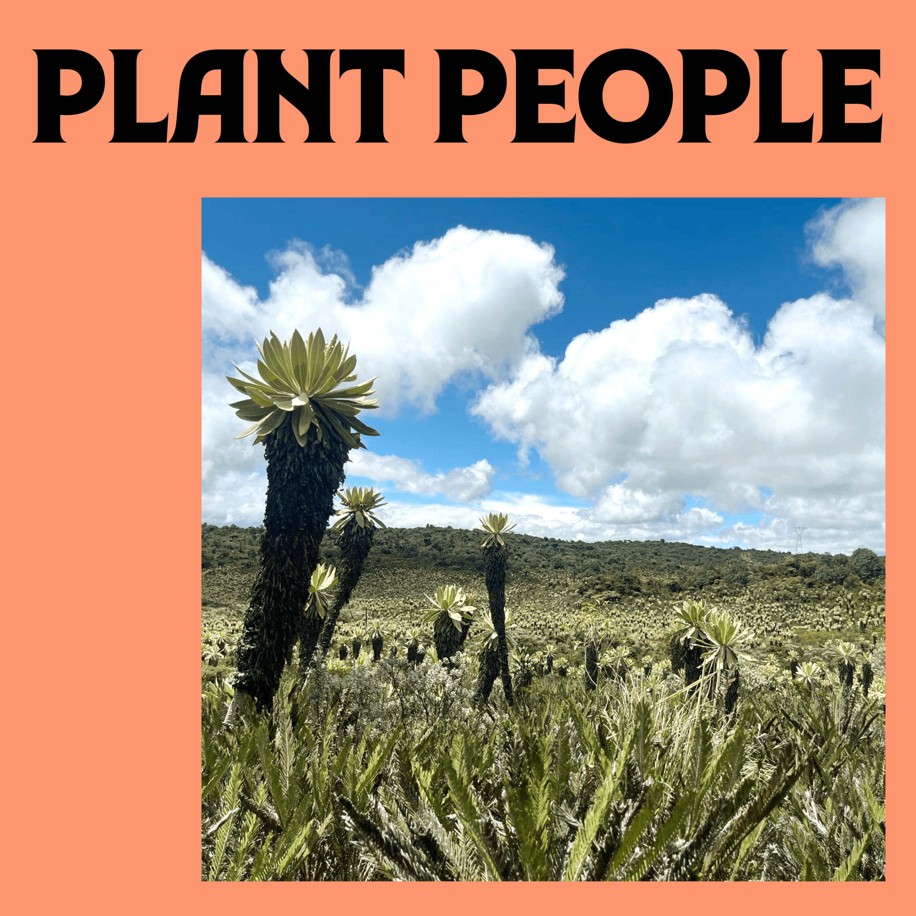 Thumbnail for "Ecotourism: Inspiring a Plant-Powered Economy". Thumbnail for "Ecotourism: Inspiring a Plant-Powered Economy".