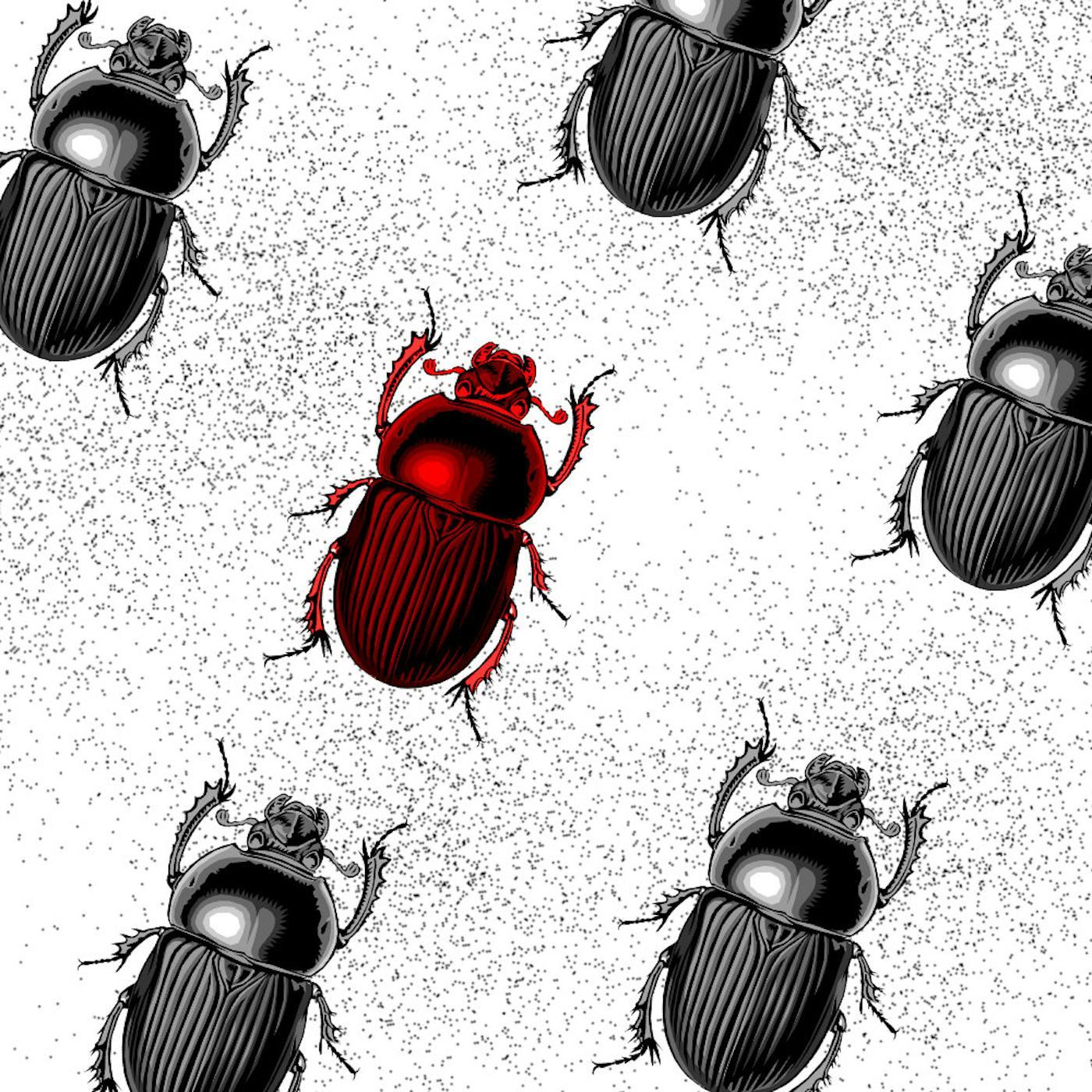 Thumbnail for "5: #ASUSGATE". Thumbnail for "5: #ASUSGATE".