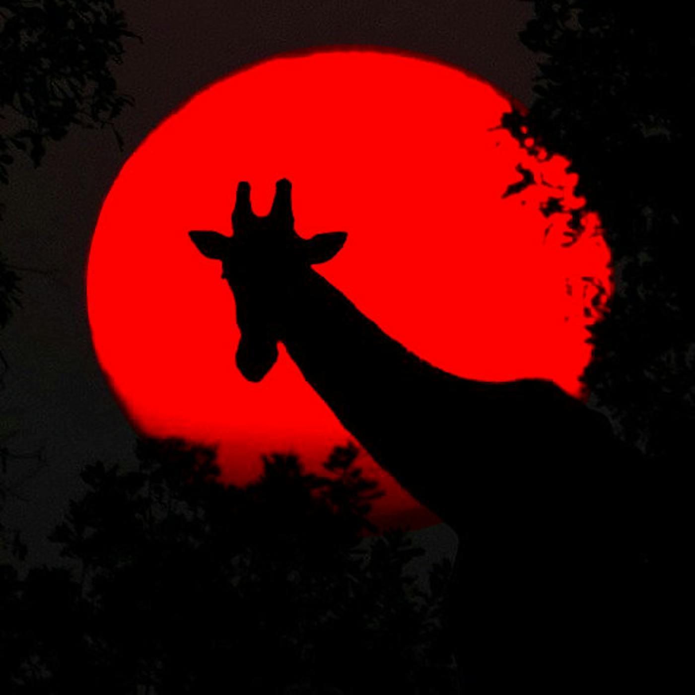 Thumbnail for "31: Hacker Giraffe". Thumbnail for "31: Hacker Giraffe".