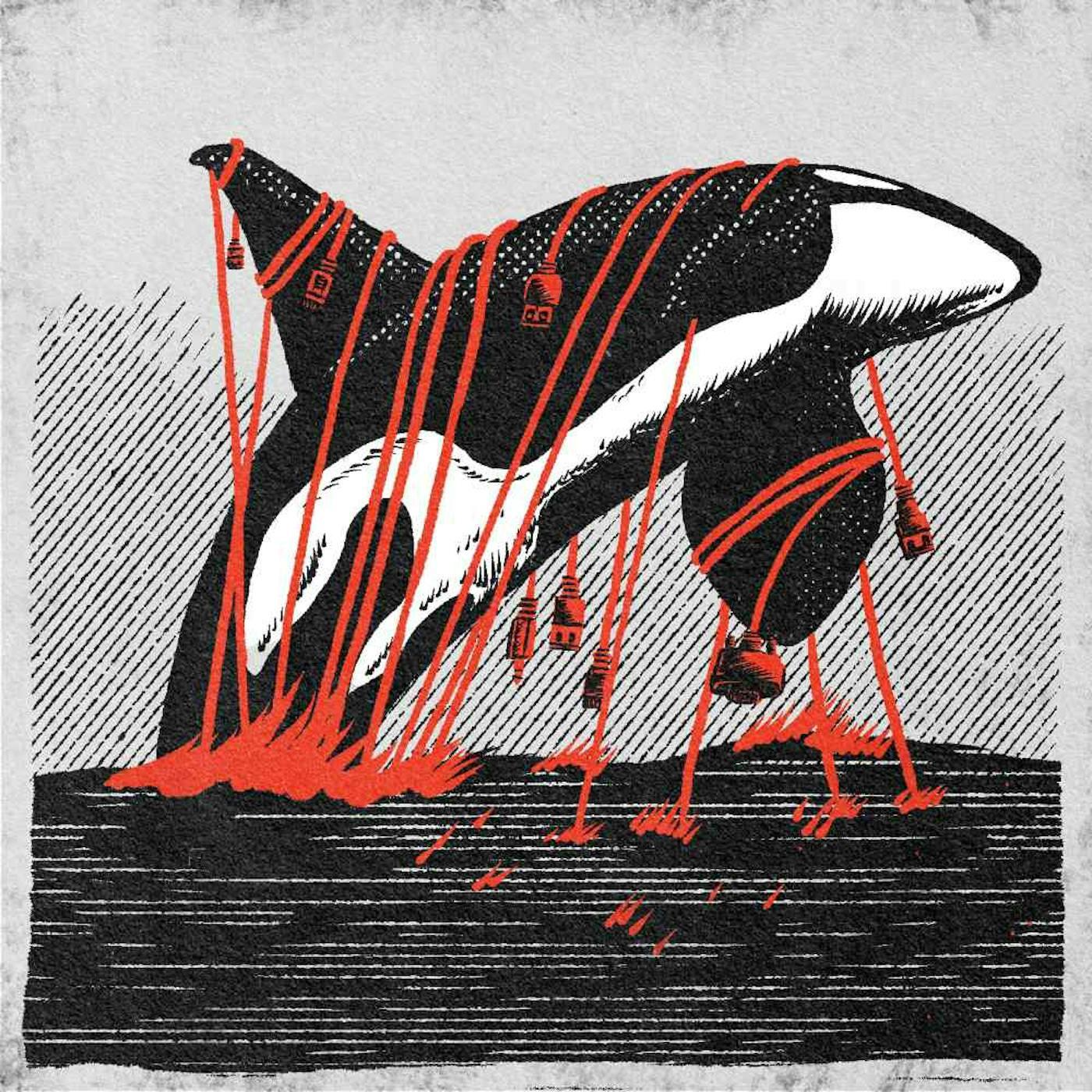 Thumbnail for "62: Cam". Thumbnail for "62: Cam".