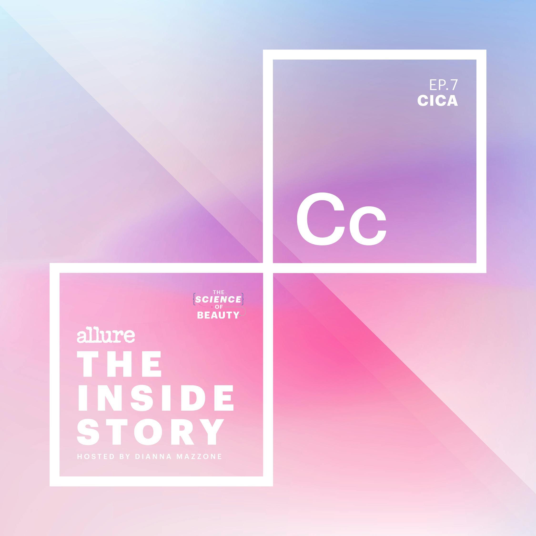 Thumbnail for "The Inside Story: Cica". Thumbnail for "The Inside Story: Cica".