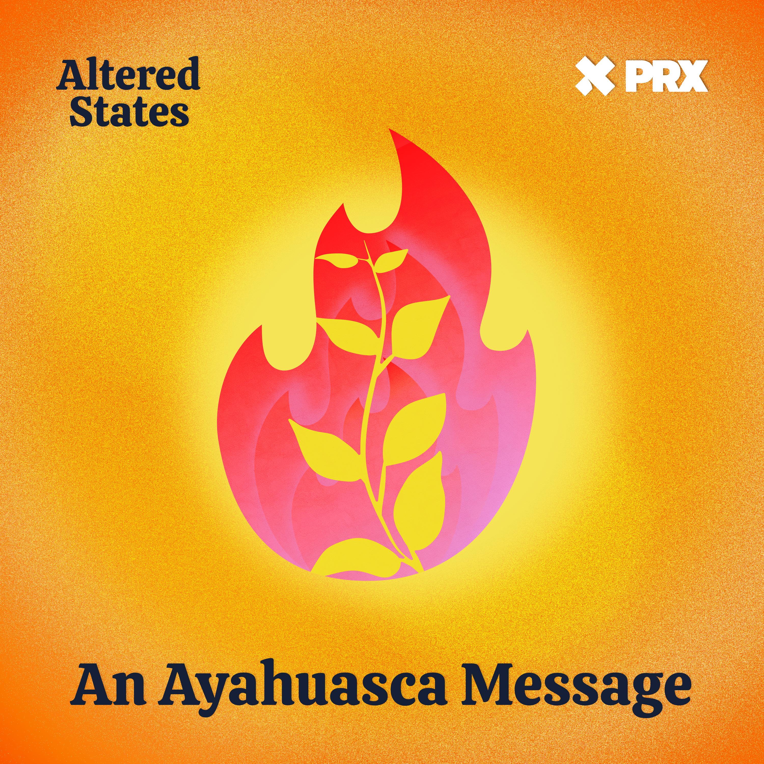 Thumbnail for "An Ayahuasca Message". Thumbnail for "An Ayahuasca Message".