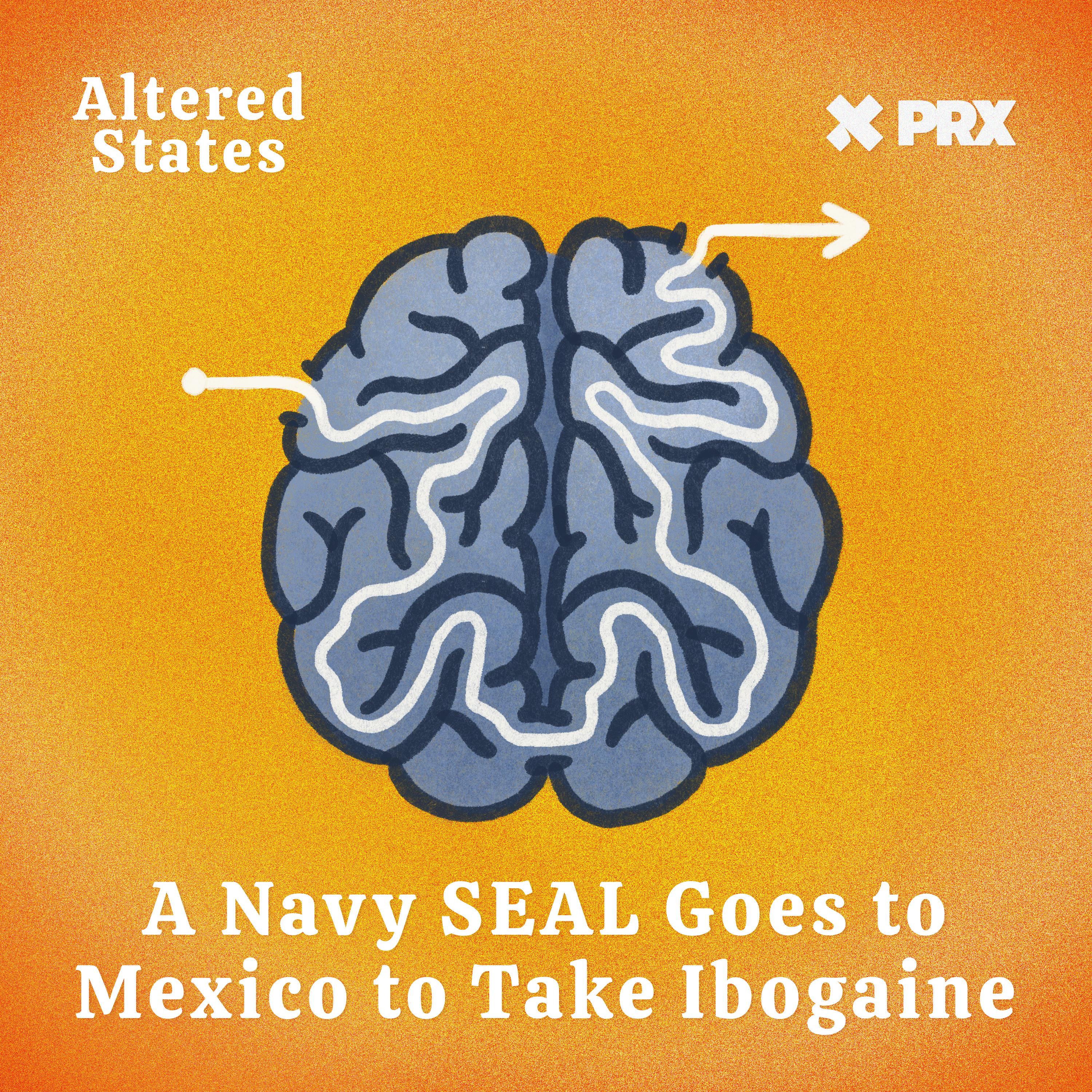 Thumbnail for "UPDATE: A Navy SEAL Goes to Mexico to take Ibogaine". Thumbnail for "UPDATE: A Navy SEAL Goes to Mexico to take Ibogaine".