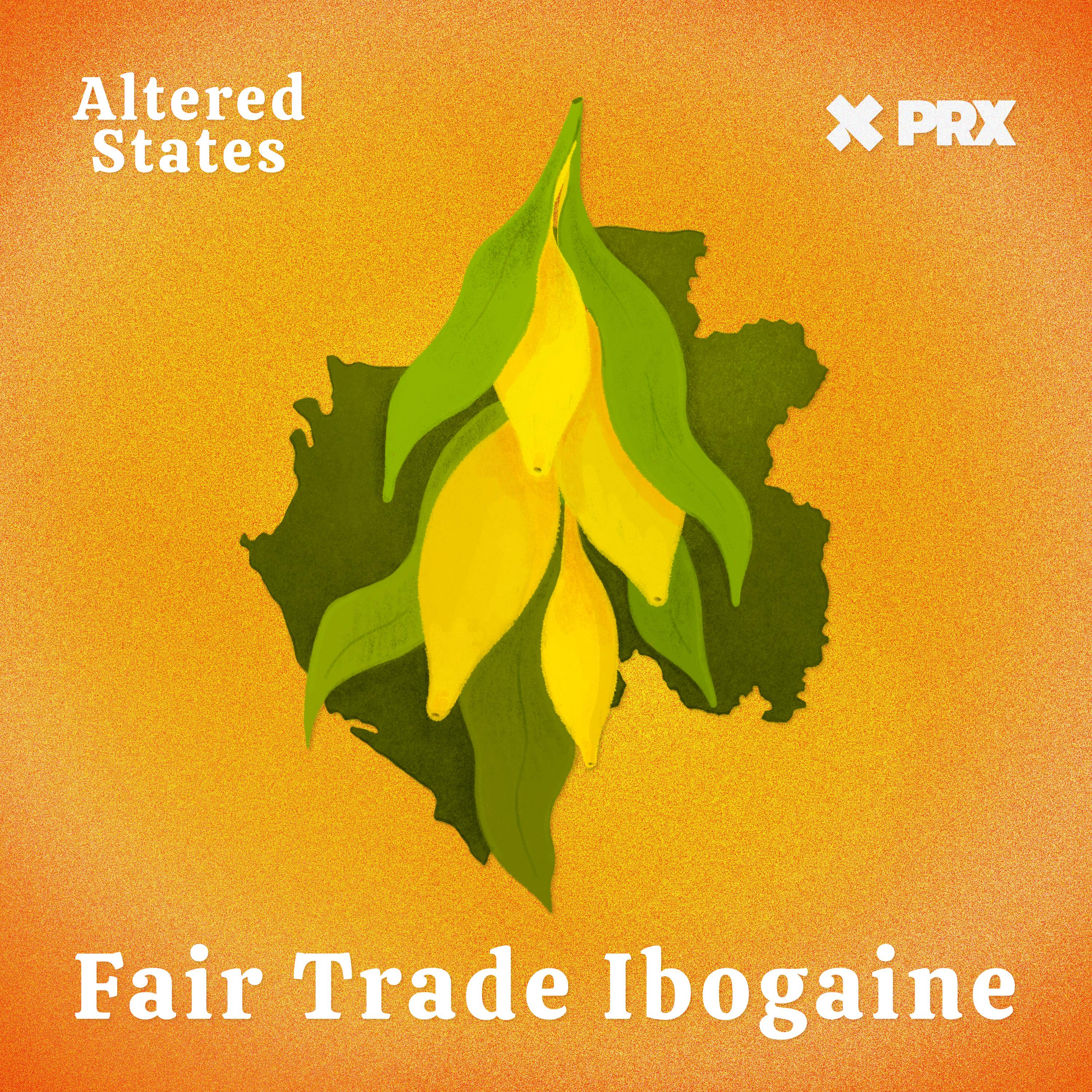 Thumbnail for "Fair Trade Ibogaine ". Thumbnail for "Fair Trade Ibogaine ".