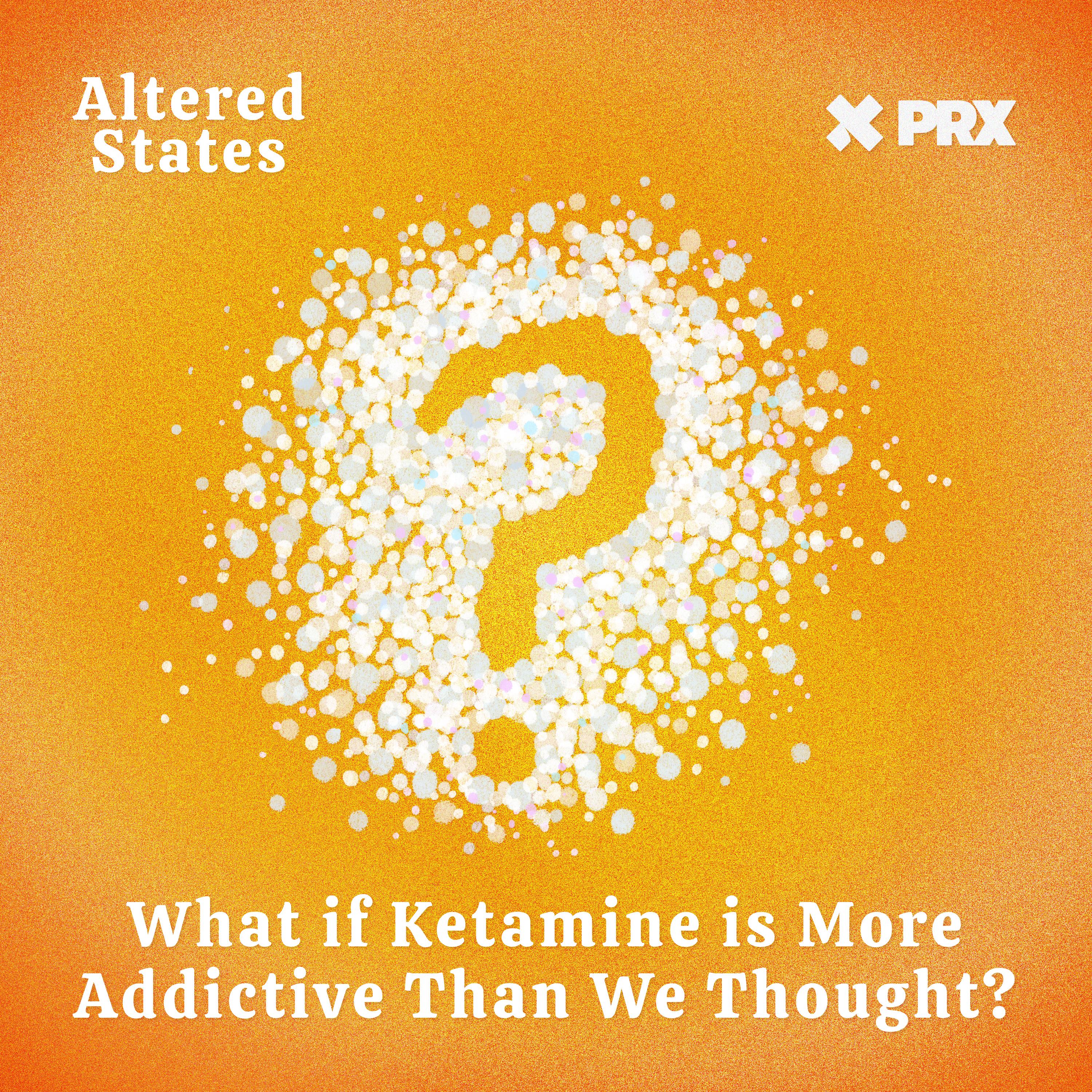 Thumbnail for " What if Ketamine is More Addictive Than We Thought?". Thumbnail for " What if Ketamine is More Addictive Than We Thought?".