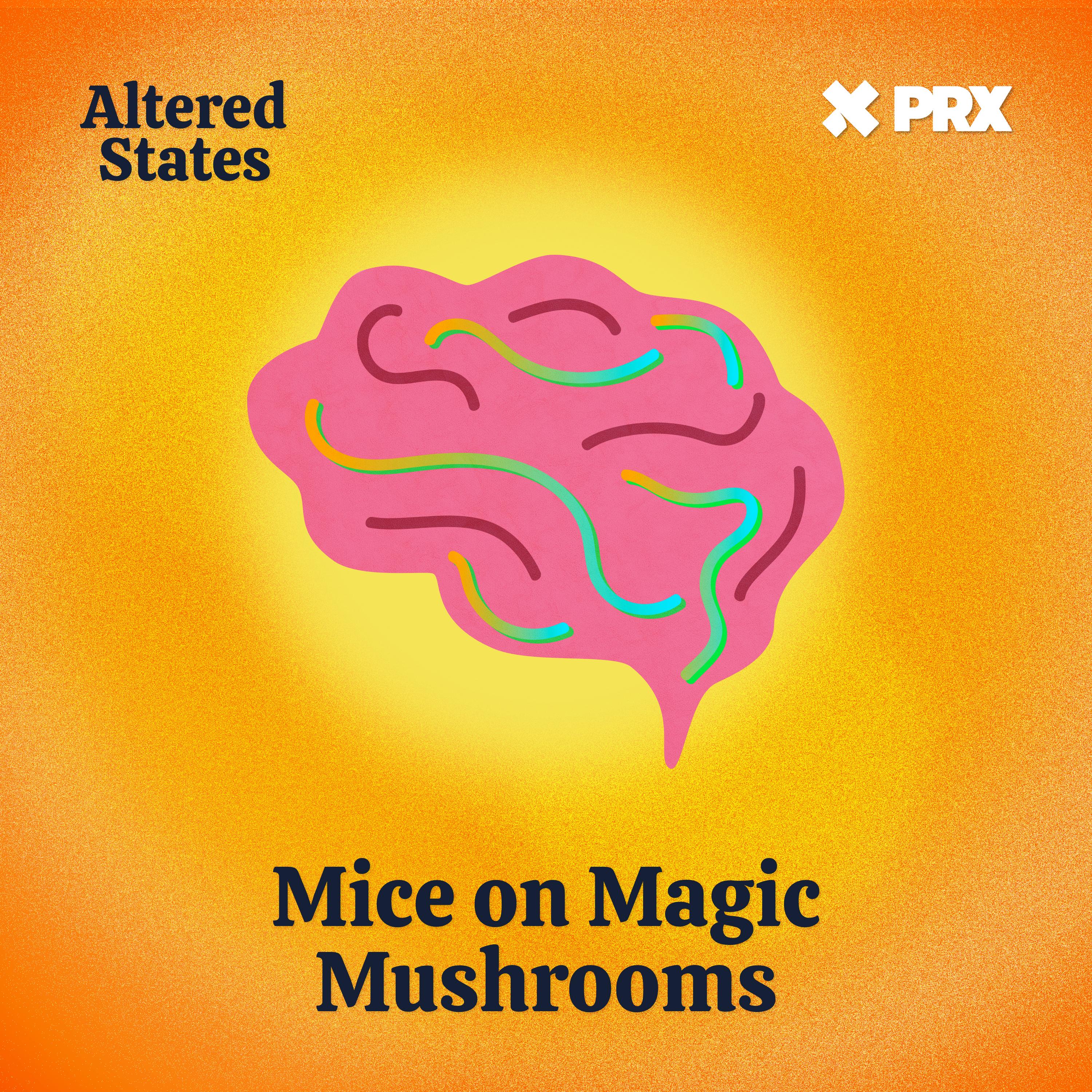 Thumbnail for "Mice on Magic Mushrooms". Thumbnail for "Mice on Magic Mushrooms".