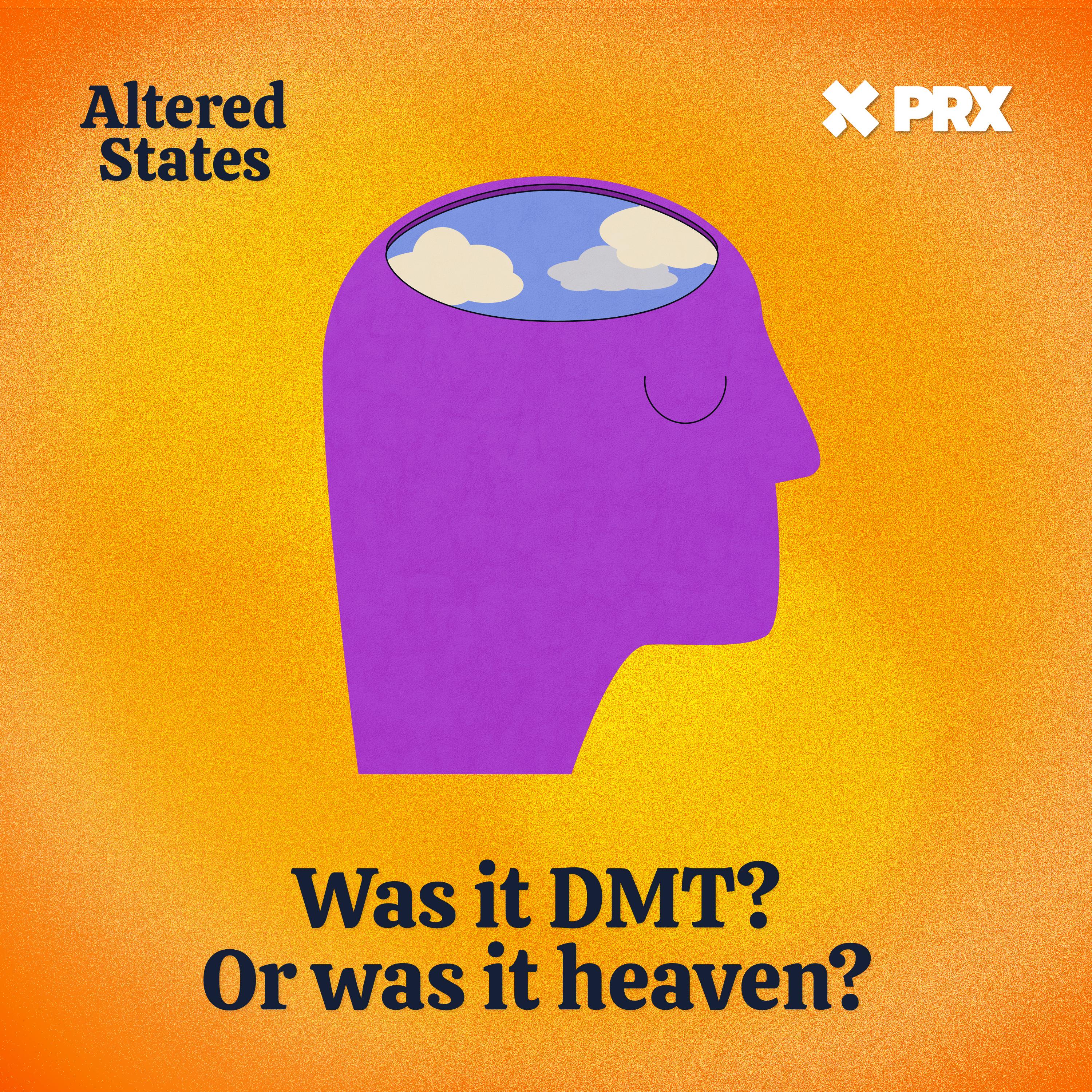 Thumbnail for "Was it DMT? Or was it heaven?". Thumbnail for "Was it DMT? Or was it heaven?".