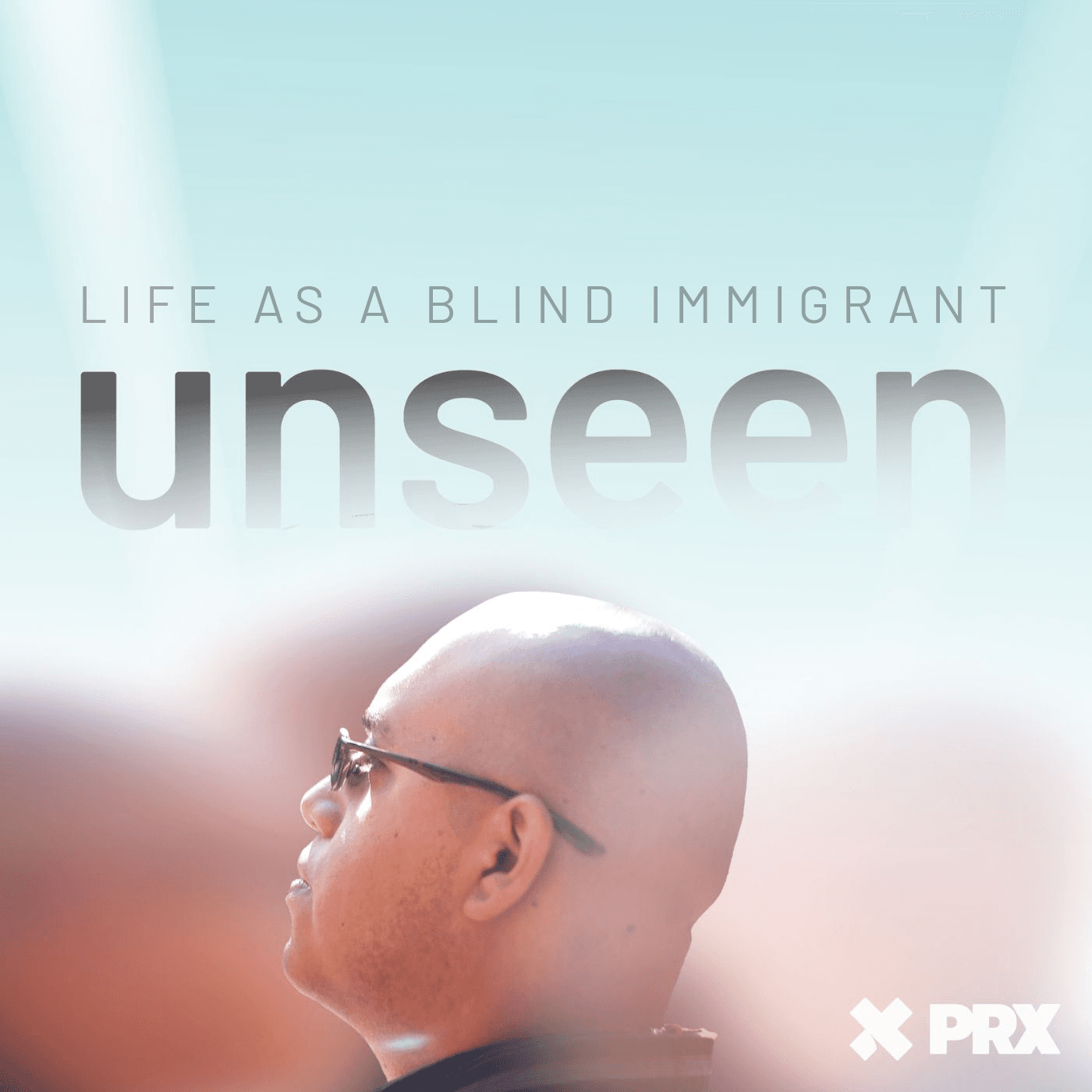 Logo for unseen: Life as a Blind Immigrant