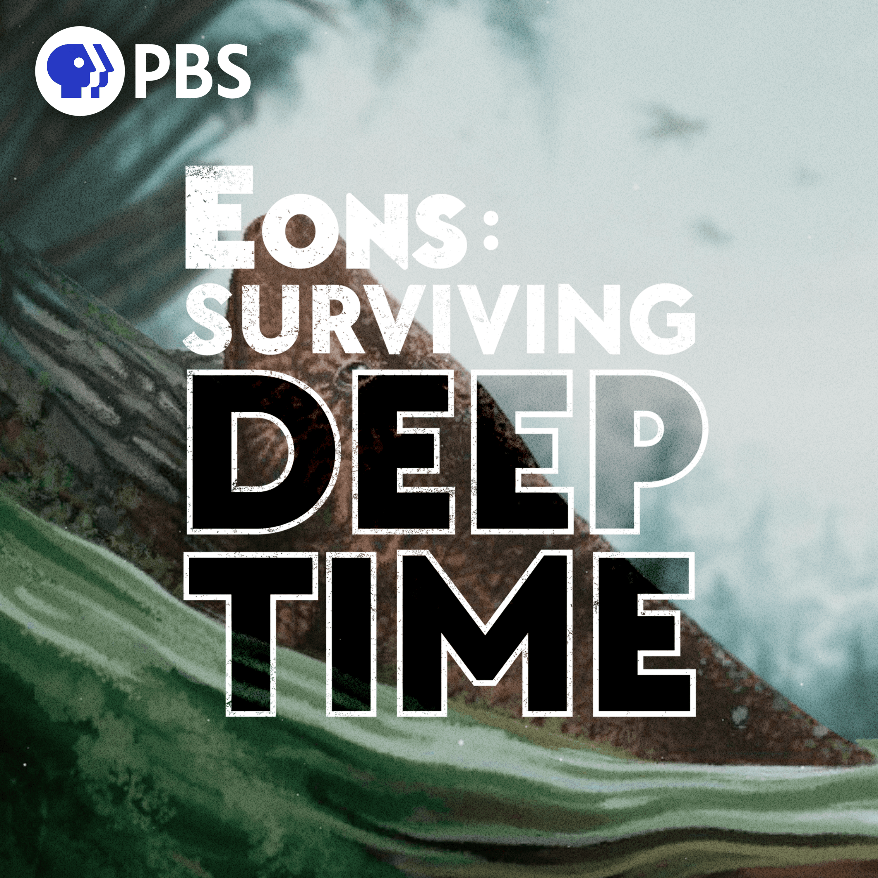 Thumbnail for "Could You Survive The Devonian Period? (with Hank Green!)". Thumbnail for "Could You Survive The Devonian Period? (with Hank Green!)".