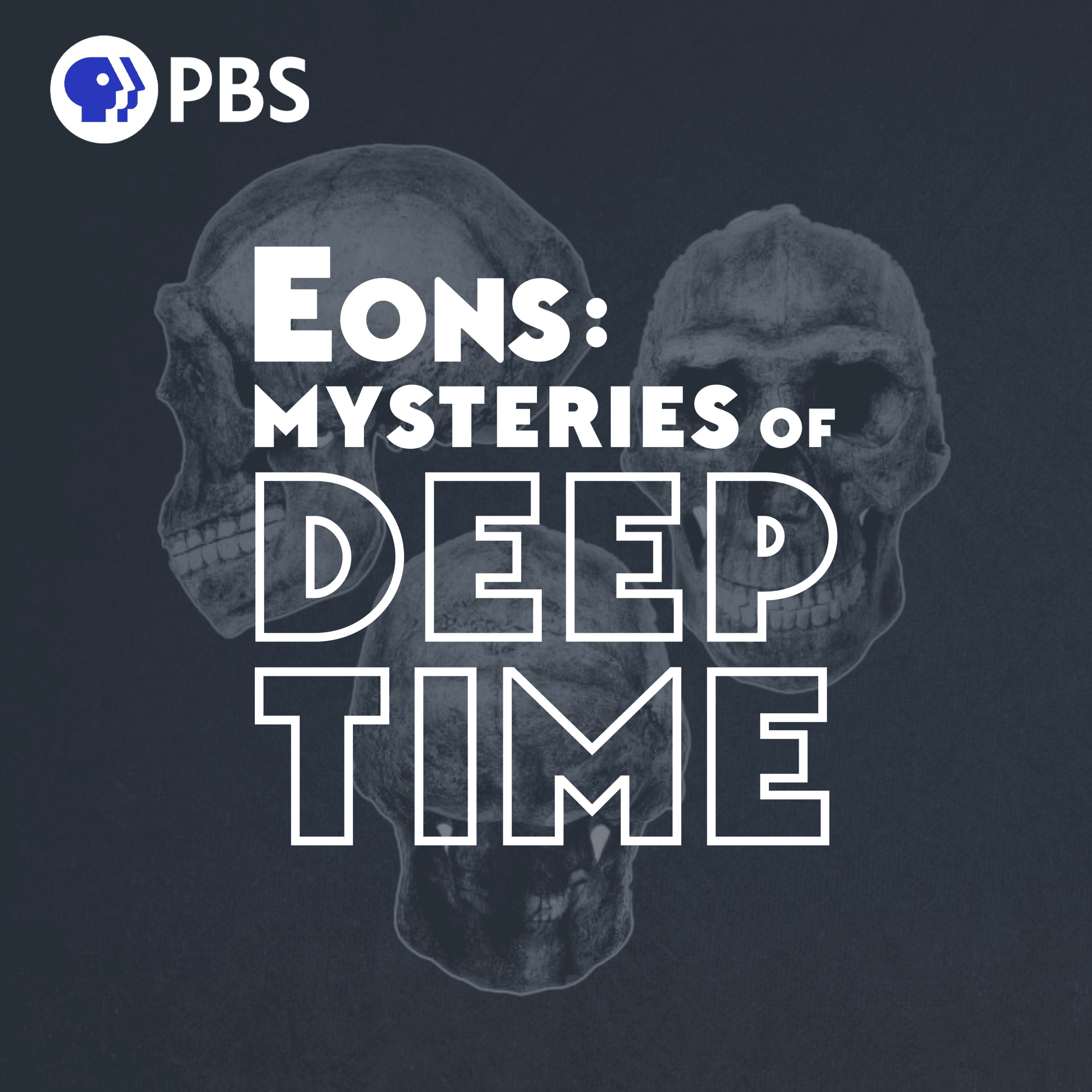 Thumbnail for "The Lost Human Fossils of World War II". Thumbnail for "The Lost Human Fossils of World War II".