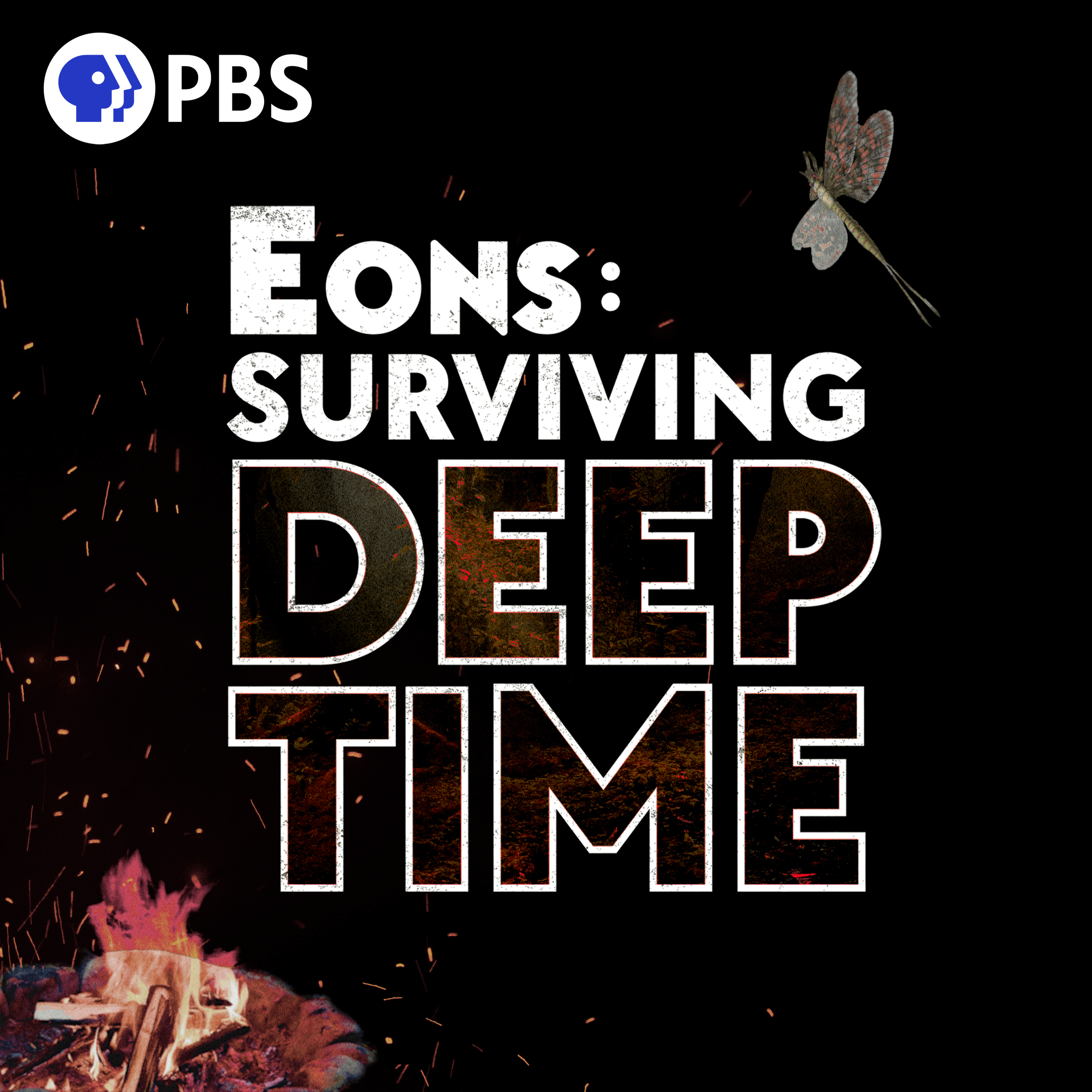 Logo for Eons: Surviving Deep Time
