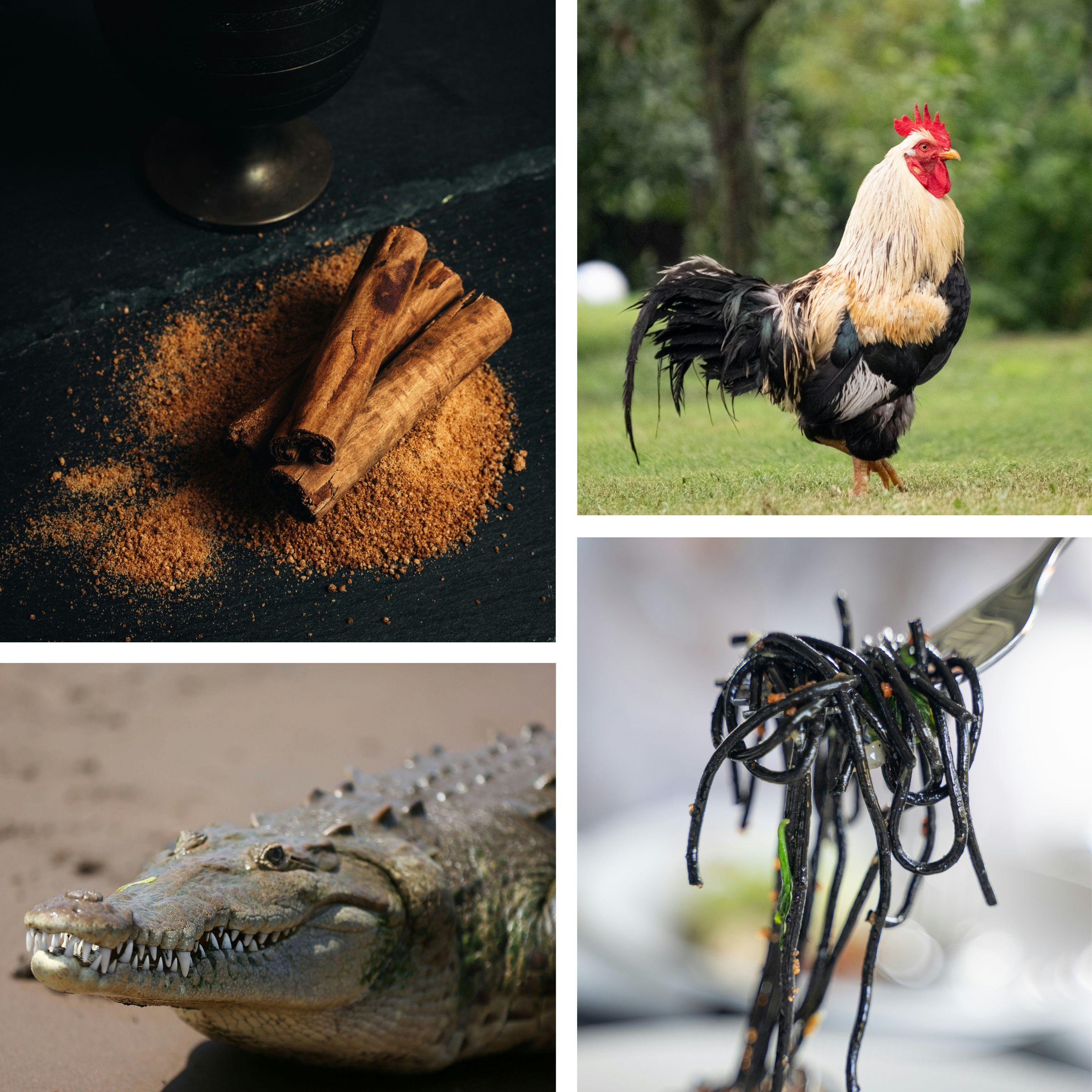 Thumbnail for "Best-Of Calls: Roosters, Alligators, and Leaf Lard". Thumbnail for "Best-Of Calls: Roosters, Alligators, and Leaf Lard".