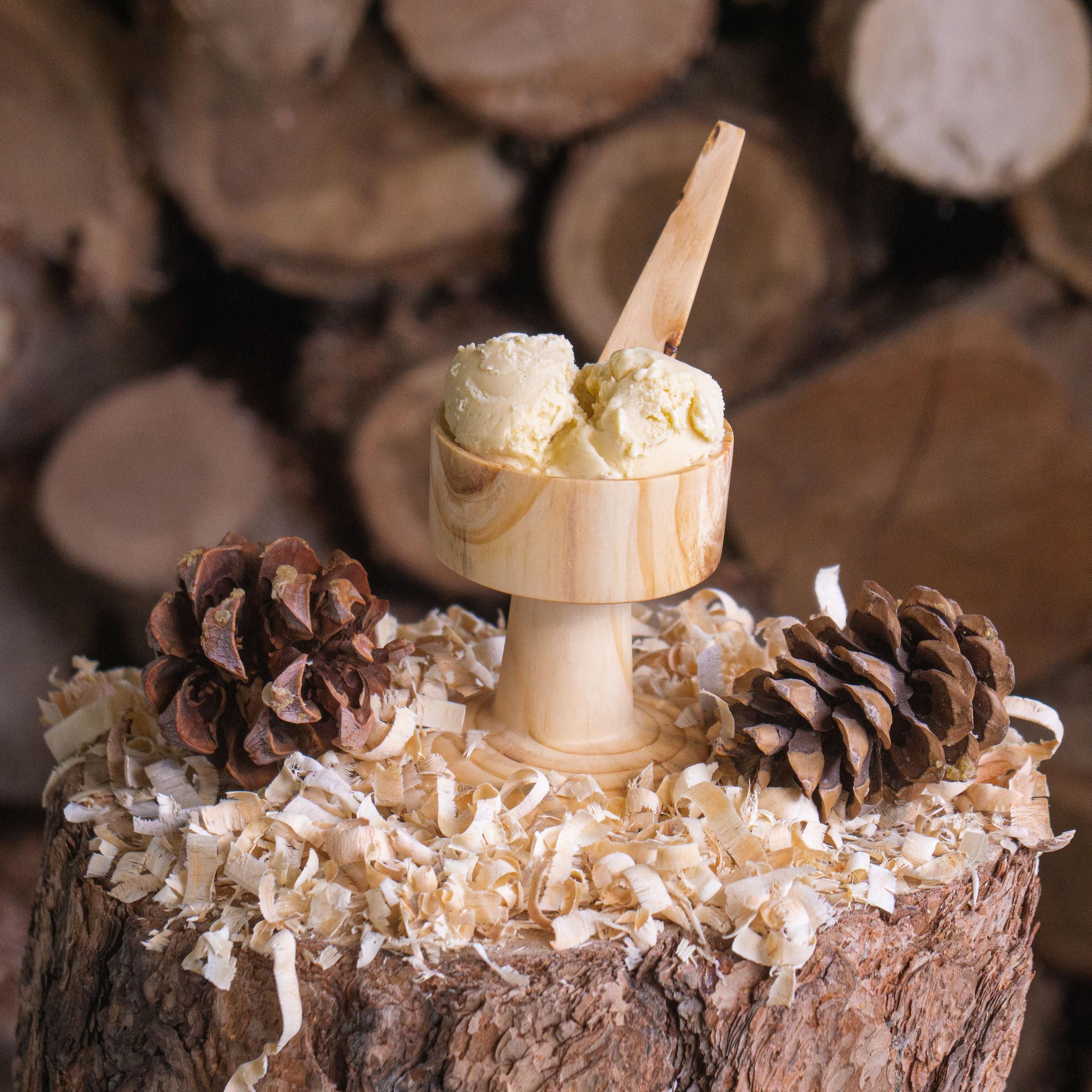 Thumbnail for "Magnolia Ice Cream? Yes! Plus Candied Acorns and Spruce Bark Cookies". Thumbnail for "Magnolia Ice Cream? Yes! Plus Candied Acorns and Spruce Bark Cookies".