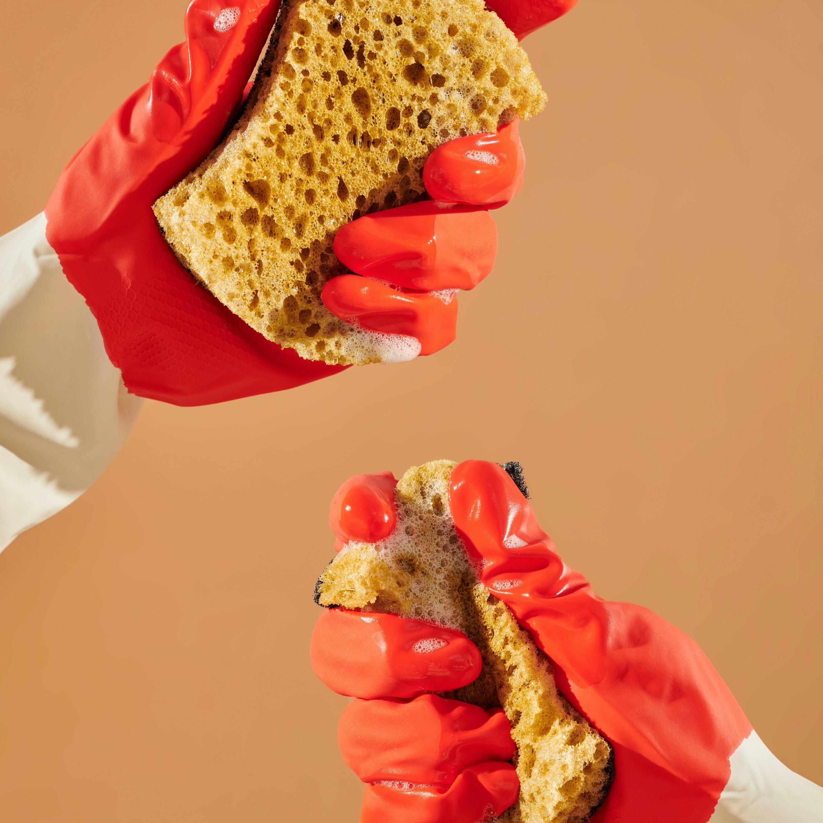Thumbnail for "Death in the Kitchen: The Shocking Truth About Food Safety". Thumbnail for "Death in the Kitchen: The Shocking Truth About Food Safety".