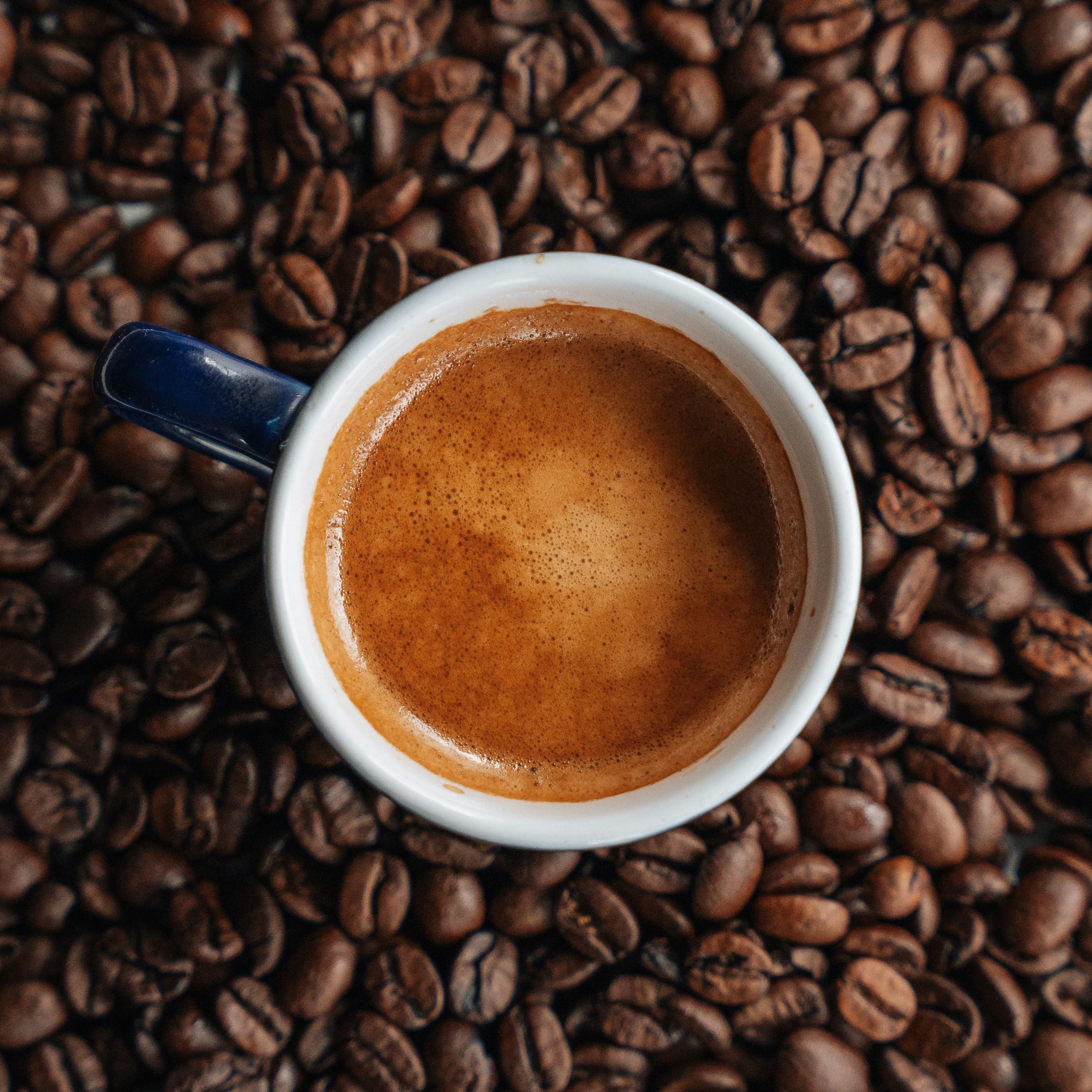 Thumbnail for "The Perfect Cup: Great Homemade Coffee with James Hoffmann". Thumbnail for "The Perfect Cup: Great Homemade Coffee with James Hoffmann".