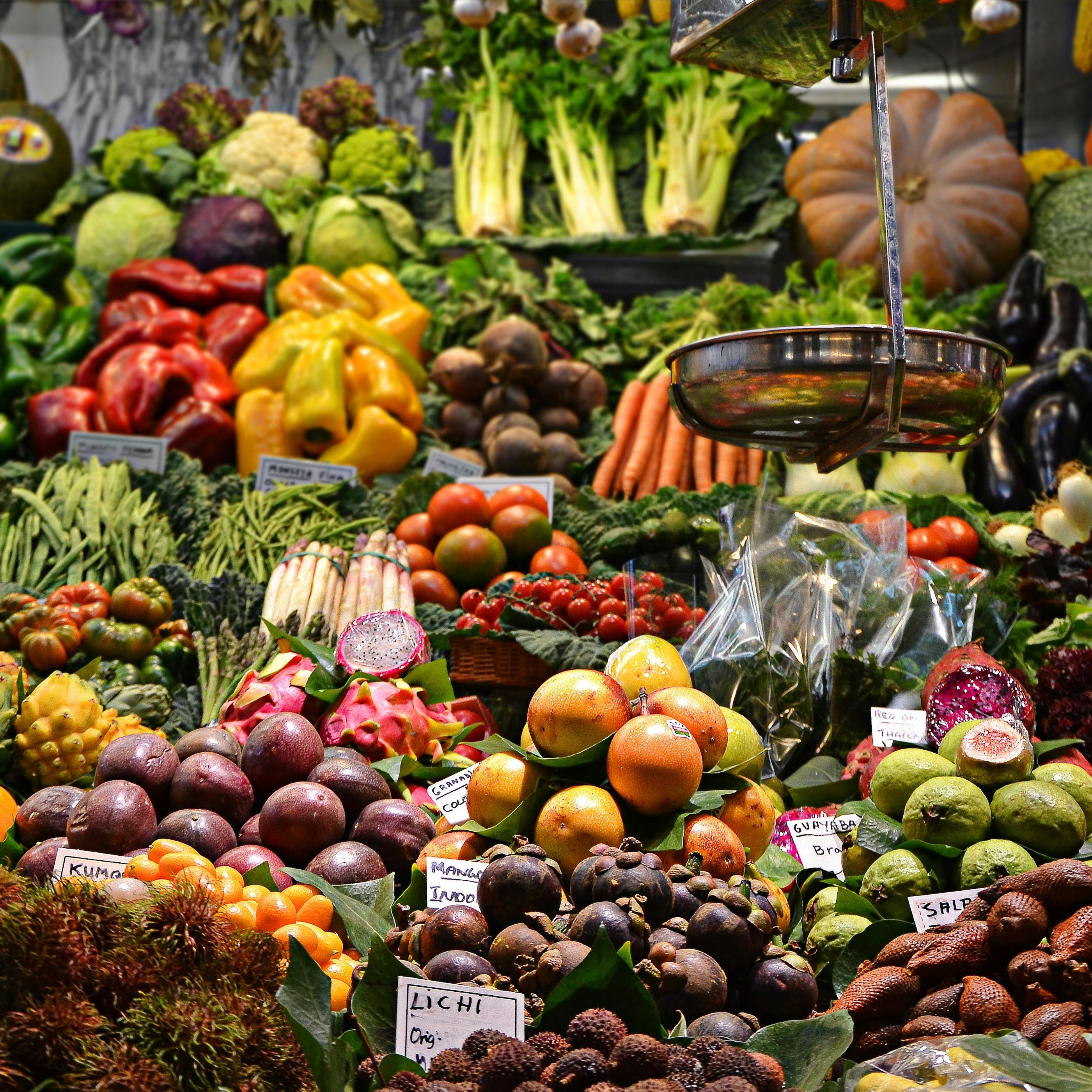 Thumbnail for "The Vegan Nightmare! Do Vegetables Have Souls?". Thumbnail for "The Vegan Nightmare! Do Vegetables Have Souls?".