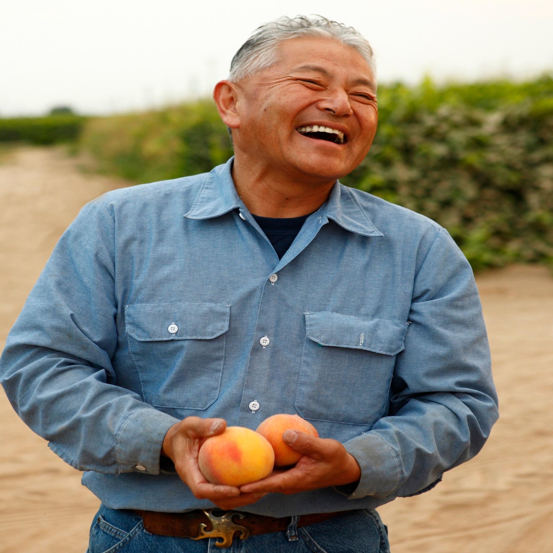 Thumbnail for "Desperately Seeking the Perfect Peach: Love and Loss on a Family Farm". Thumbnail for "Desperately Seeking the Perfect Peach: Love and Loss on a Family Farm".