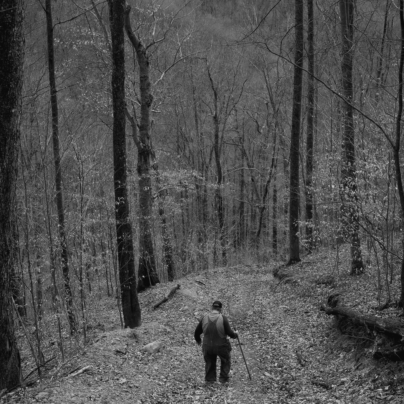 Thumbnail for "This Short Life". Thumbnail for "This Short Life".