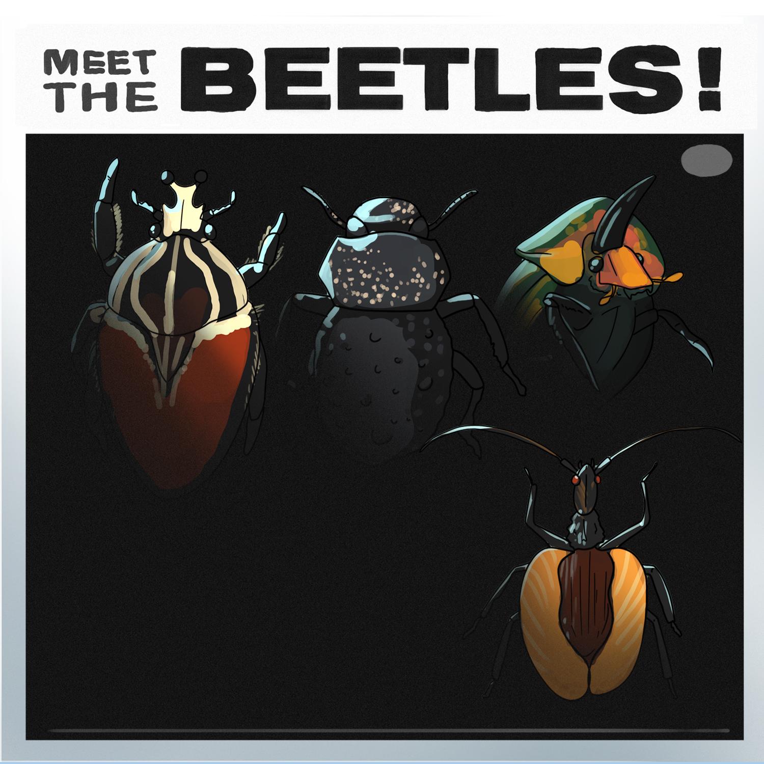 Thumbnail for "Meet the Beetles!". Thumbnail for "Meet the Beetles!".