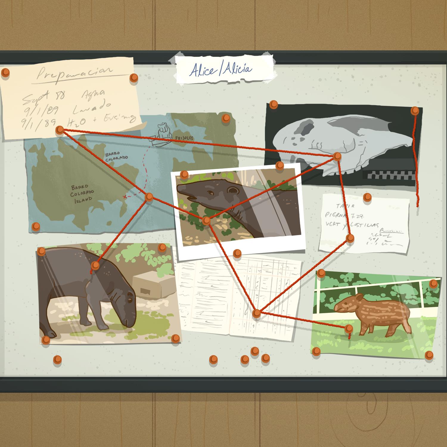 Thumbnail for "Tapir Caper". Thumbnail for "Tapir Caper".