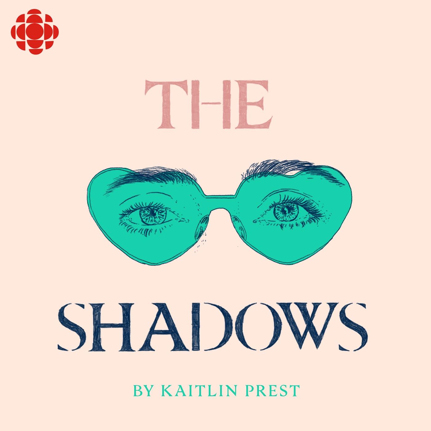 Thumbnail for "The Shadows: An Argument That Should Be Simple". Thumbnail for "The Shadows: An Argument That Should Be Simple".