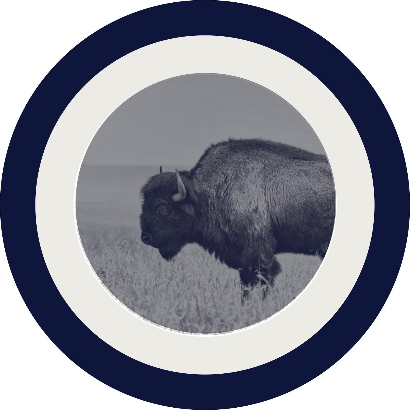 Thumbnail for "Episode 206: The Thundering Herd, The Vanishing American". Thumbnail for "Episode 206: The Thundering Herd, The Vanishing American".