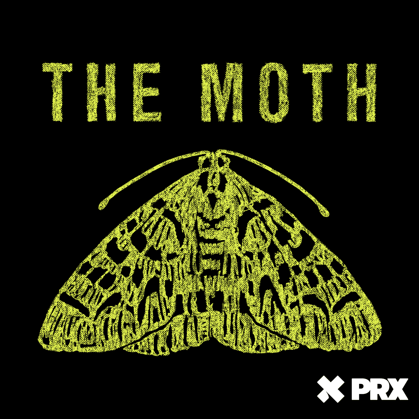 Thumbnail for "The Moth Radio Hour: A Point of Beauty".