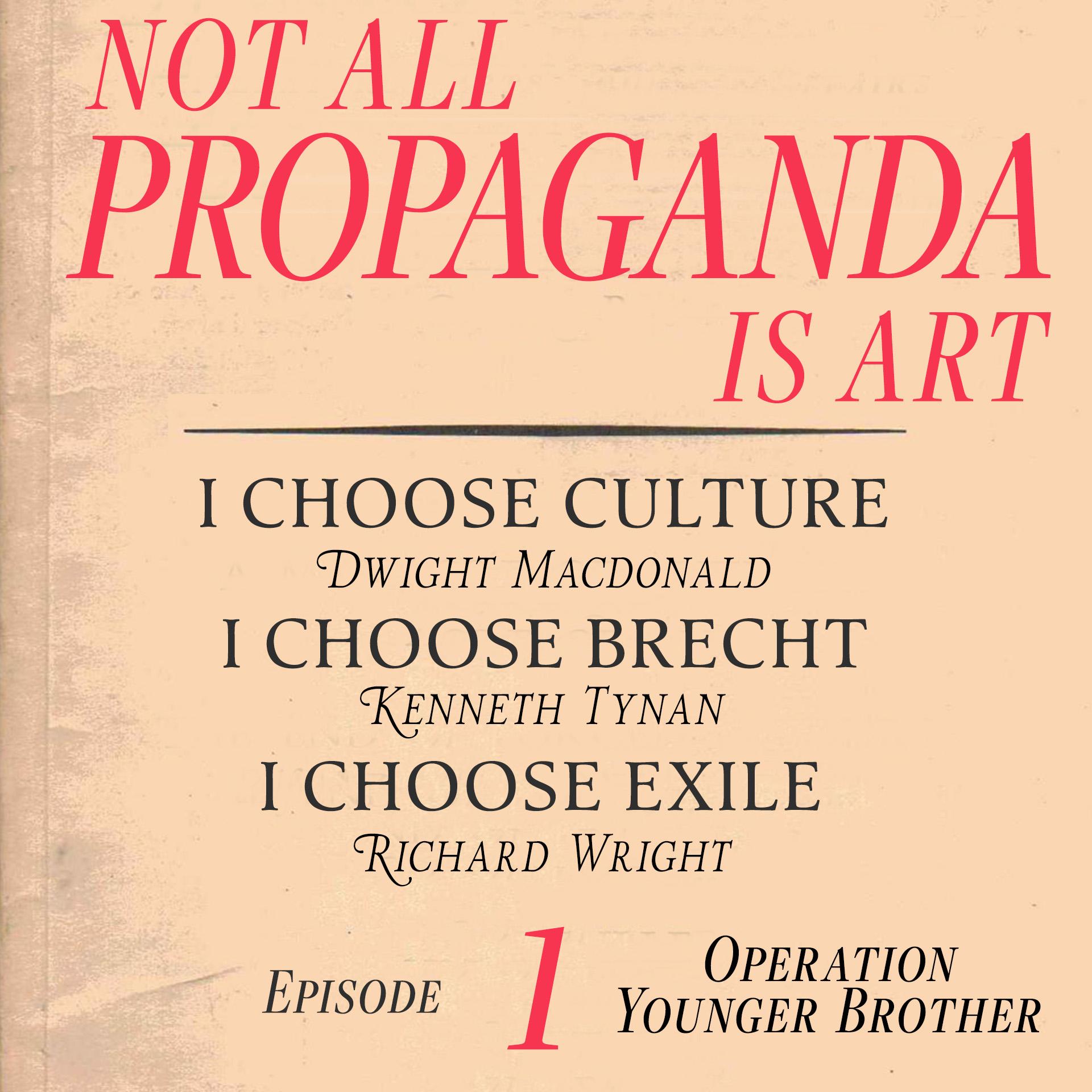 Thumbnail for "Not All Propaganda is Art 1: Operation Younger Brother". Thumbnail for "Not All Propaganda is Art 1: Operation Younger Brother".