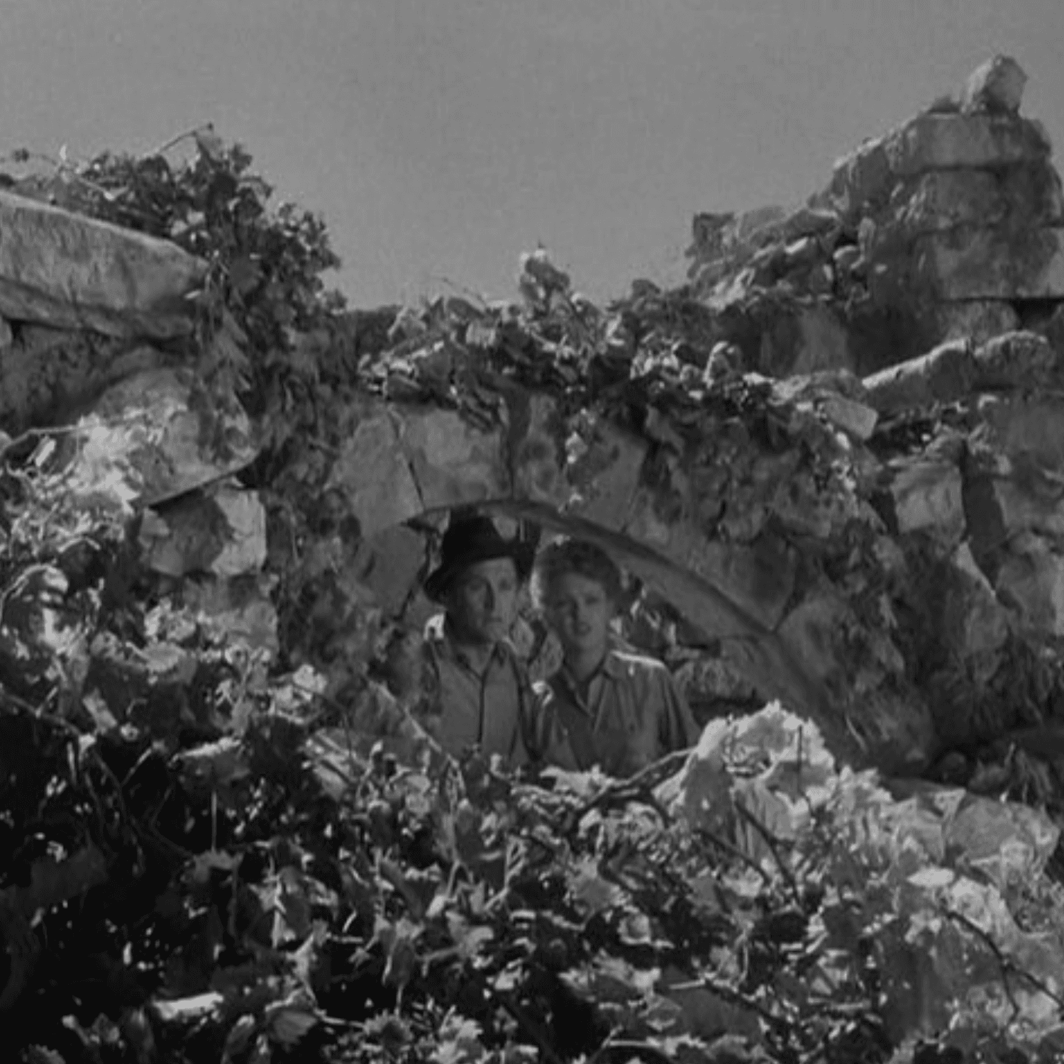 Thumbnail for "Risky Business: Hollywood and Israel". Thumbnail for "Risky Business: Hollywood and Israel".