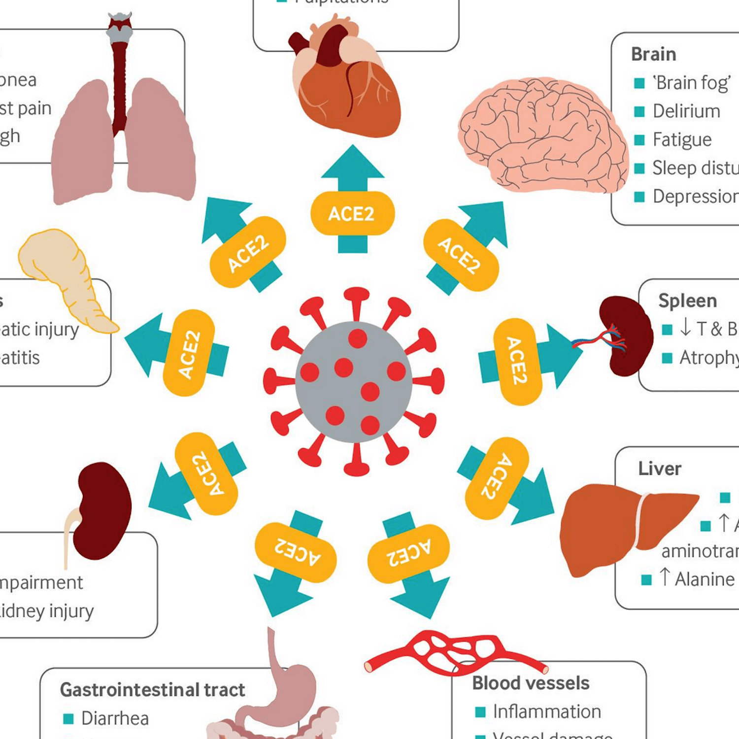 Thumbnail for "Covid after Covid". Thumbnail for "Covid after Covid".